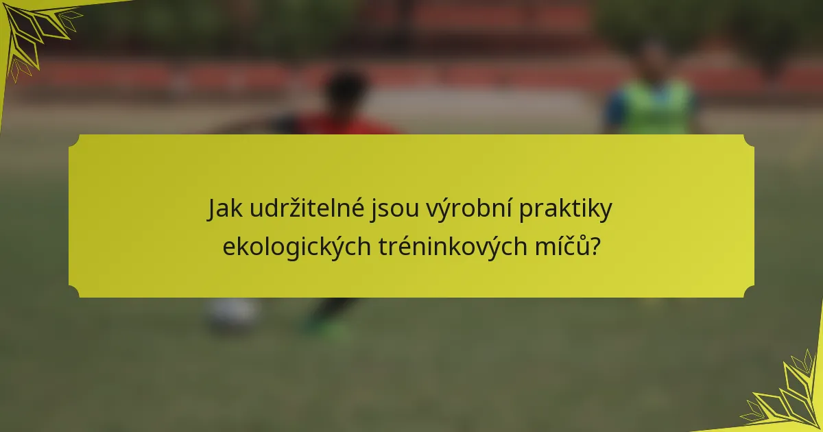 Jak udržitelné jsou výrobní praktiky ekologických tréninkových míčů?