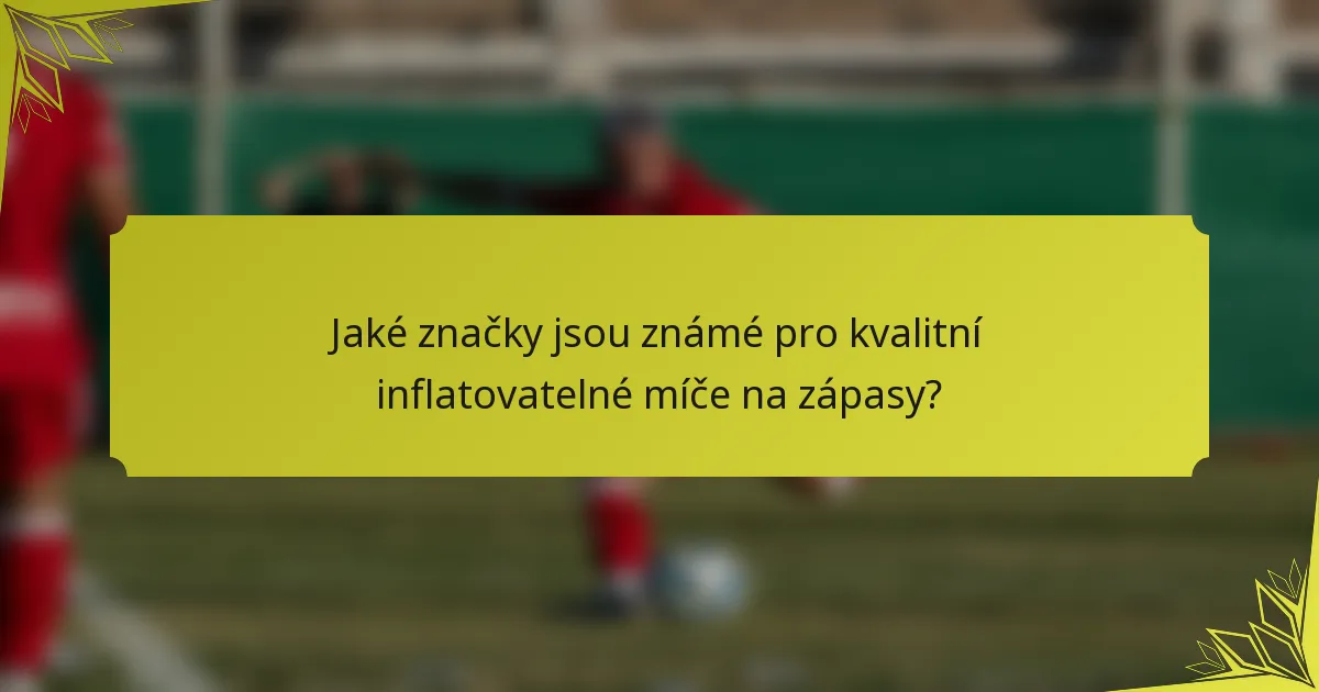 Jaké značky jsou známé pro kvalitní inflatovatelné míče na zápasy?