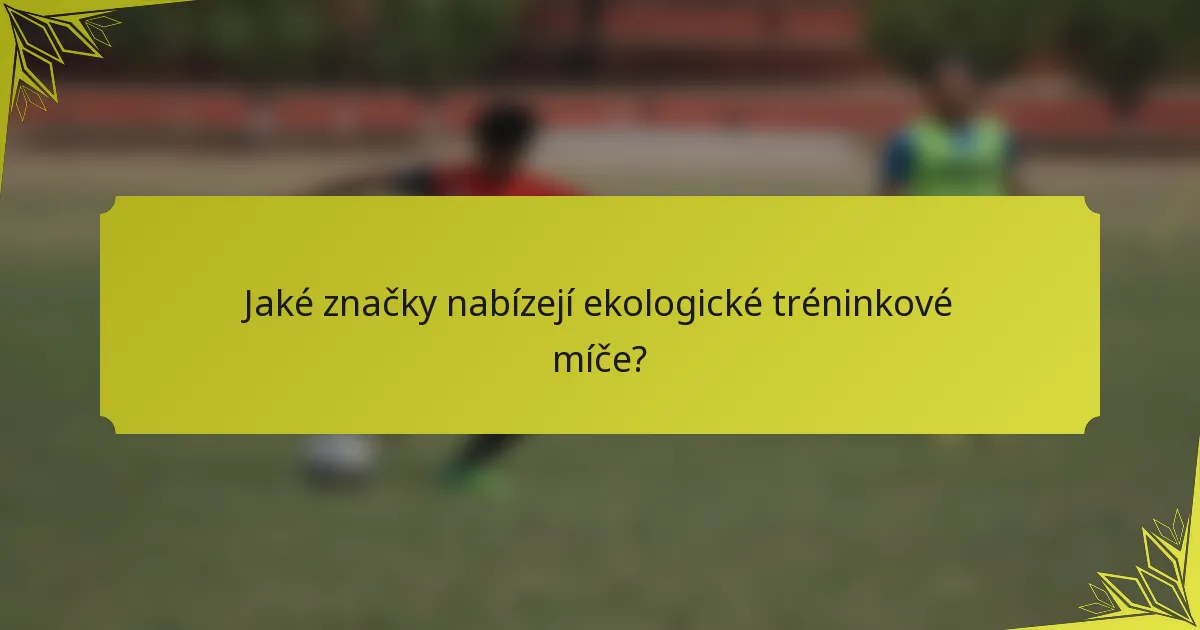 Jaké značky nabízejí ekologické tréninkové míče?