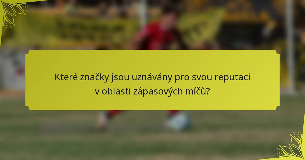 Které značky jsou uznávány pro svou reputaci v oblasti zápasových míčů?